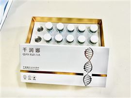 外泌体原料